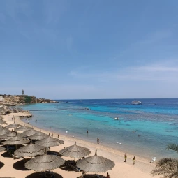 Best of Sharm El Sheikh Tour